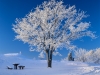 trad004_frost_pangfoto_se