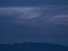 dovhjort_natt_crop_pangfoto_se_mg_3566