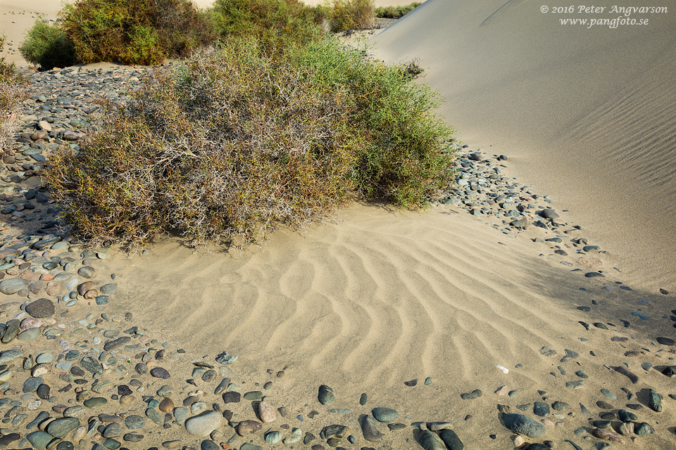 GranCanaria_Maspalomas_pangfoto_se_Q2A3900