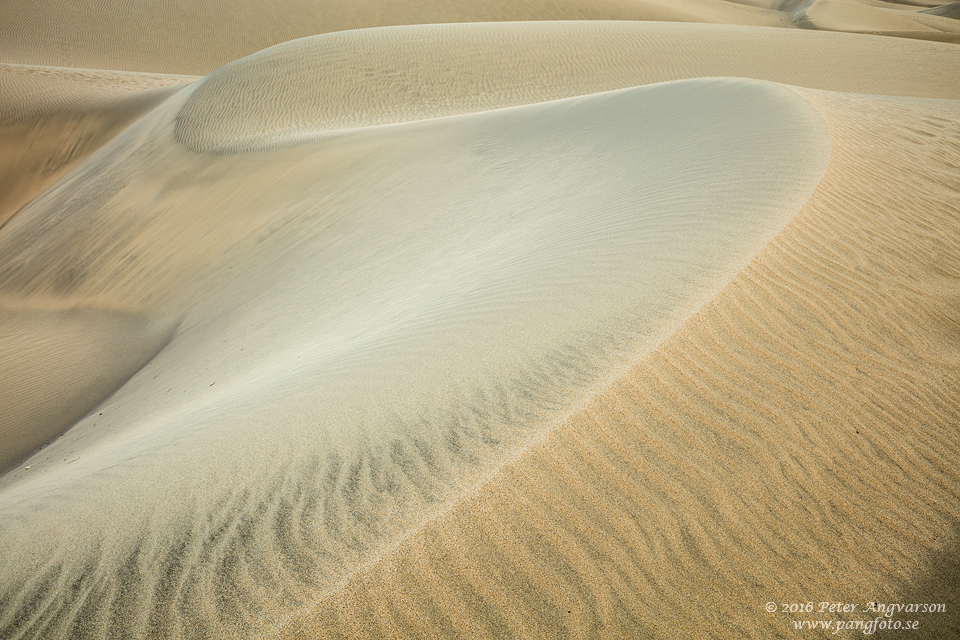 GranCanaria_Maspalomas_pangfoto_se_Q2A4727