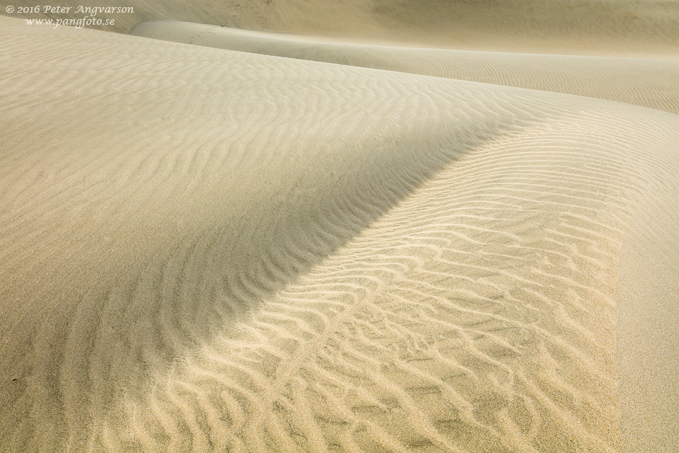 GranCanaria_Maspalomas_pangfoto_se_Q2A4735