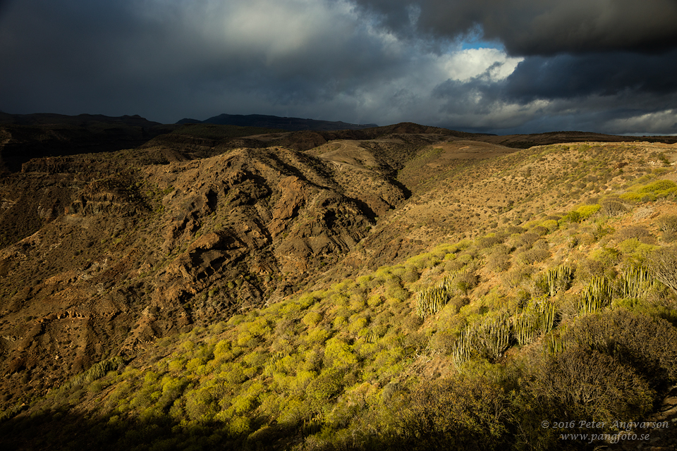 GranCanaria_PuertoRico_pangfoto_se_Q2A3814