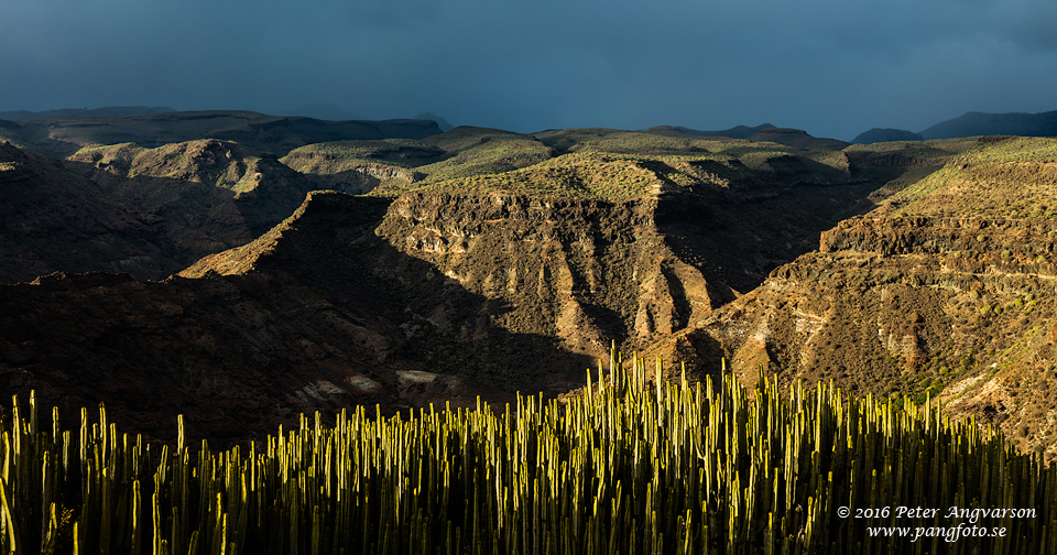 GranCanaria_PuertoRico_pangfoto_se_Q2A3820