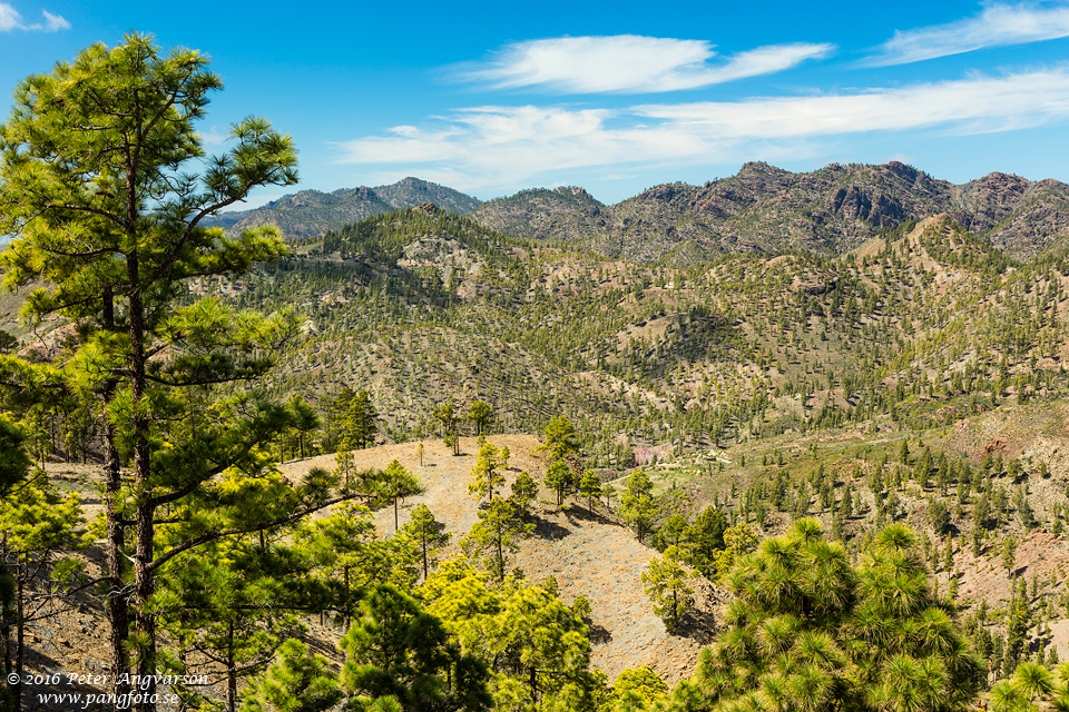 GranCanaria_CuevasBlancas_pangfoto_se_Q2A4294