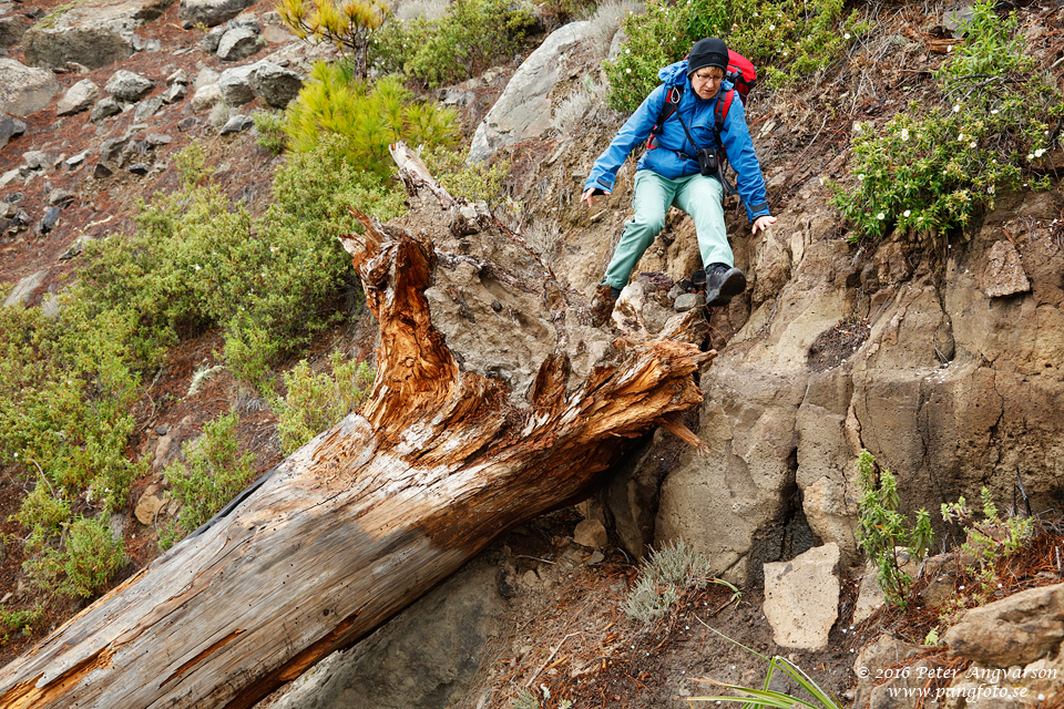 GranCanaria_IntegralDeInagua_pangfoto_se_Q2A4587