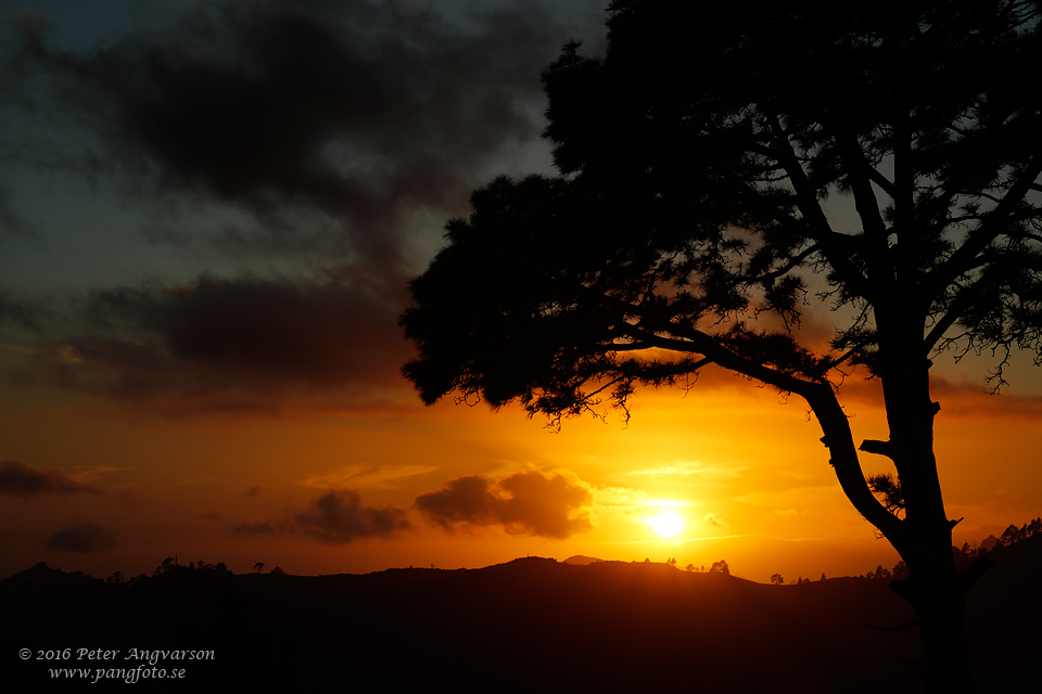 GranCanaria_MajadaAlta_pangfoto_se_Q2A5131