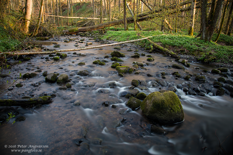 bodelebacken_pangfoto_se_Q2A7105