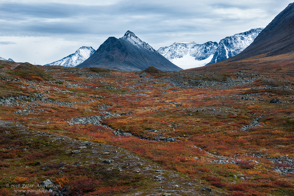 Drakryggen kungsleden nordkalottenleden fjällvandring pangfoto Peter Angvarson