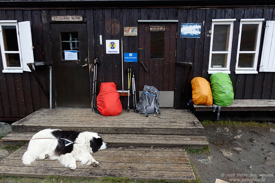 kungsleden nordkalottenleden fjällvandring pangfoto Peter Angvarson