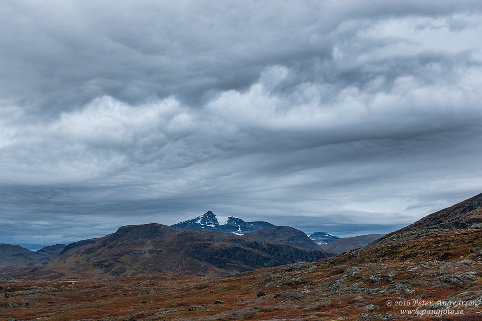 Sälkaglaciären kungsleden nordkalottenleden fjällvandring pangfoto Peter Angvarson