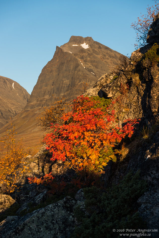 Tolpagorni Duolbagorni kungsleden nordkalottenleden fjällvandring pangfoto Peter Angvarson