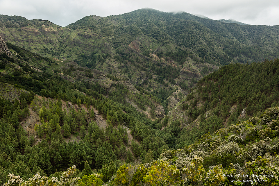 La Gomera