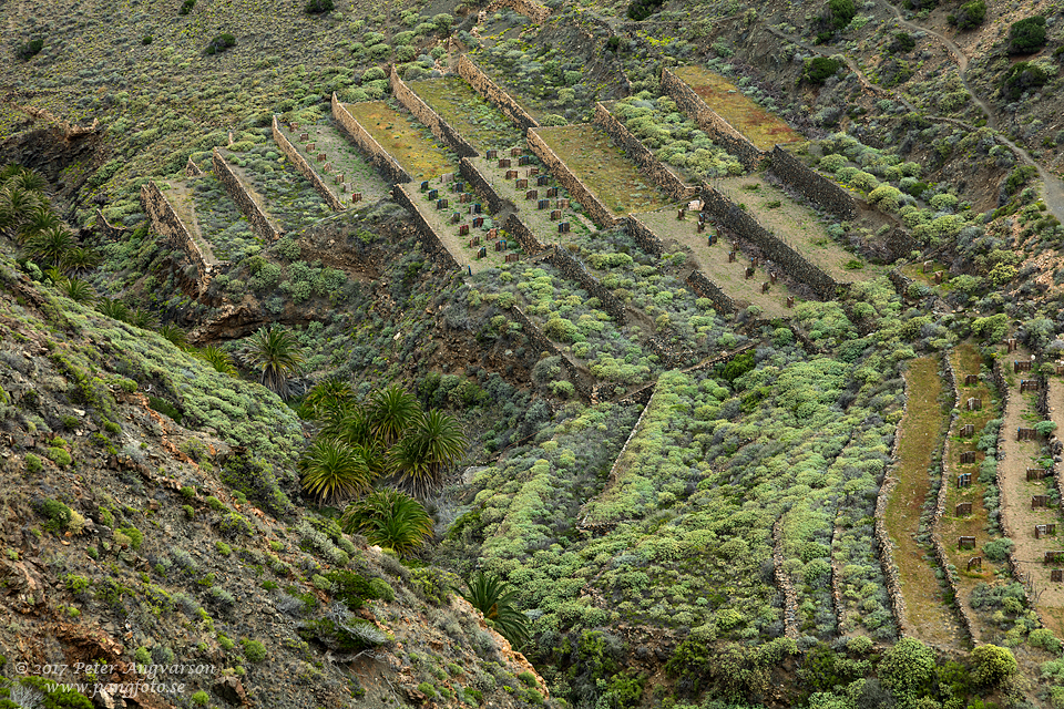 La Gomera, Barranco de los Zarzale