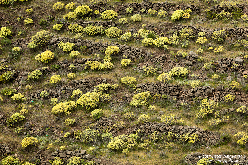 La Gomera