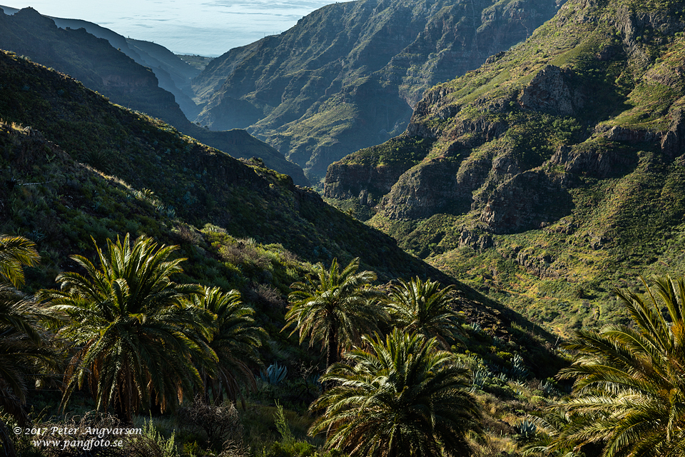 La Gomera, Imada