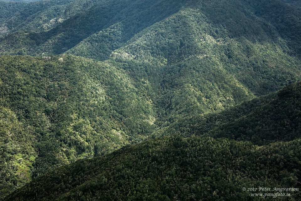 La Gomera, Parque Nacional de Garajonay, Montana de la Arana