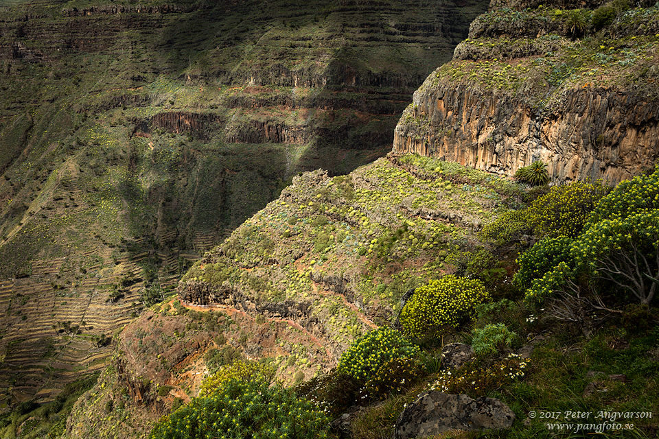 La Gomera, Valle Gran Rey