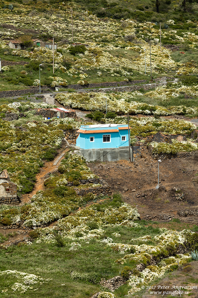 La Gomera, Igualero