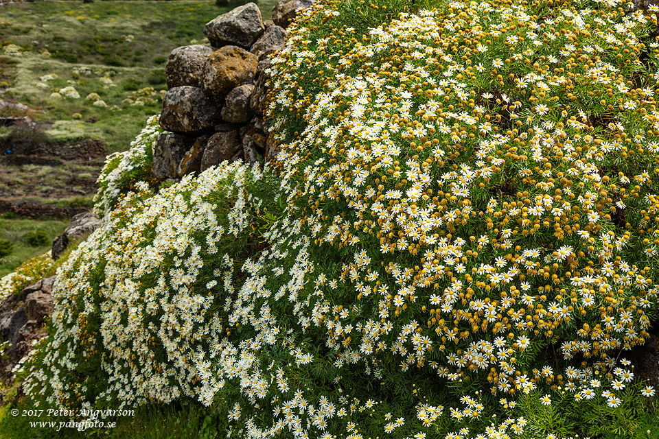 La Gomera