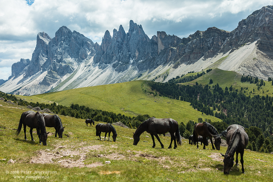 Val Gardena