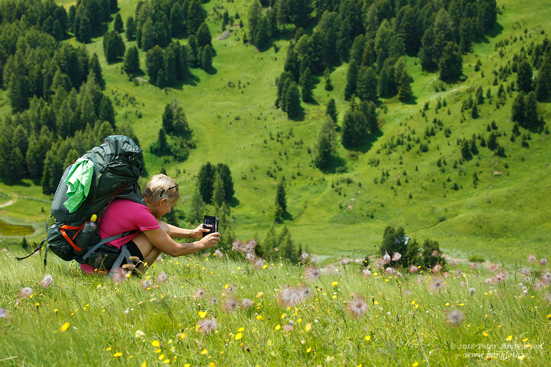 Val Gardena