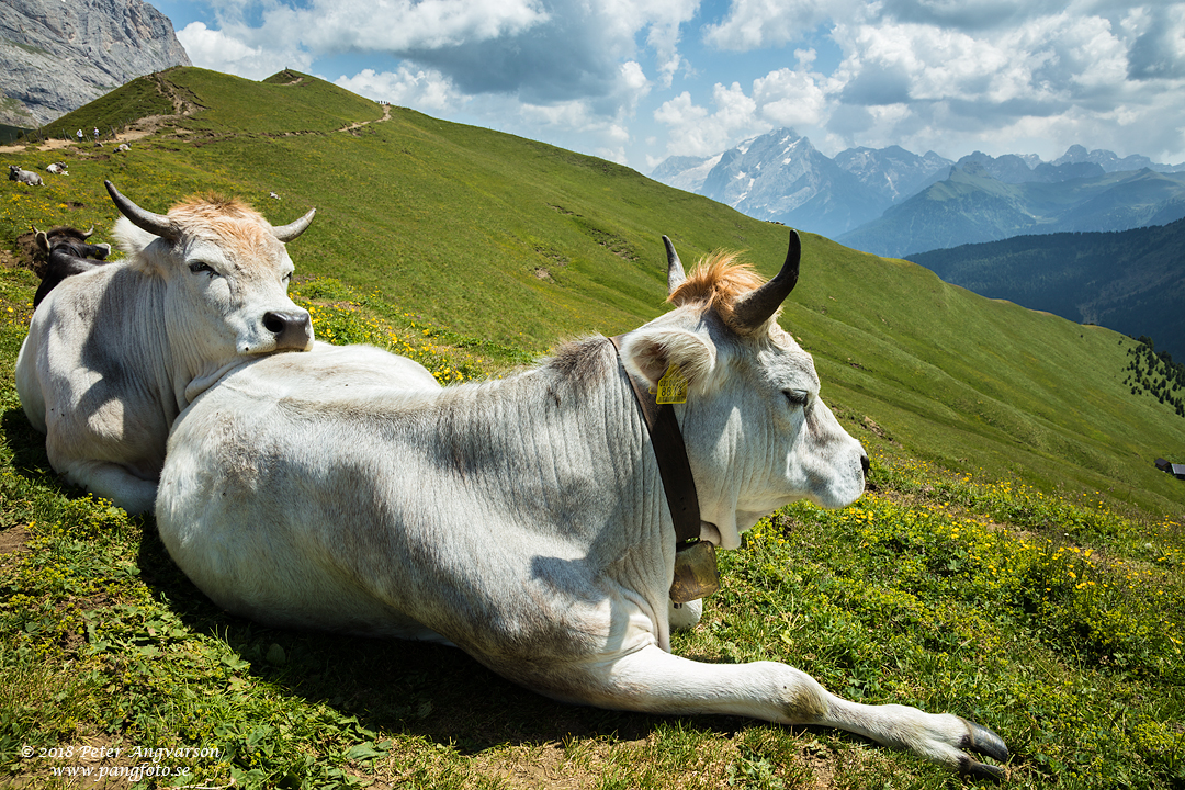 Val Gardena