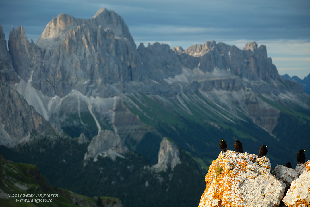 Val Gardena