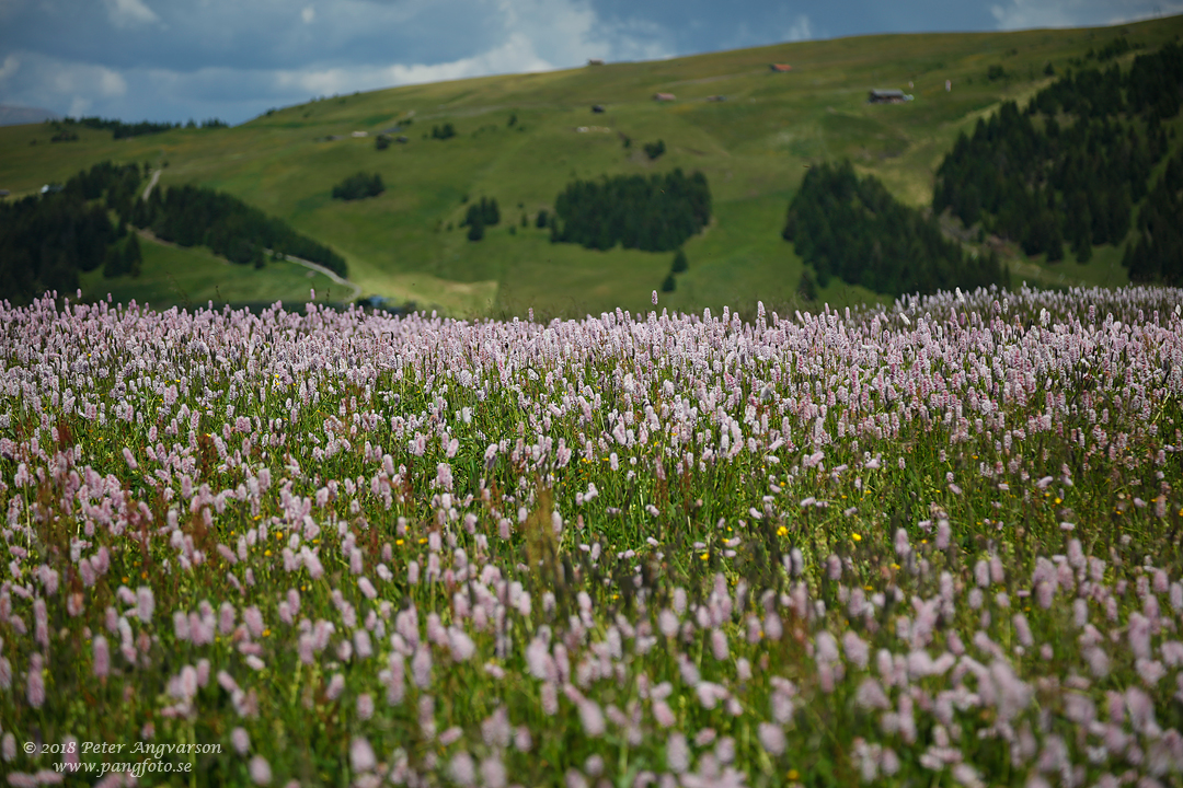 Val Gardena