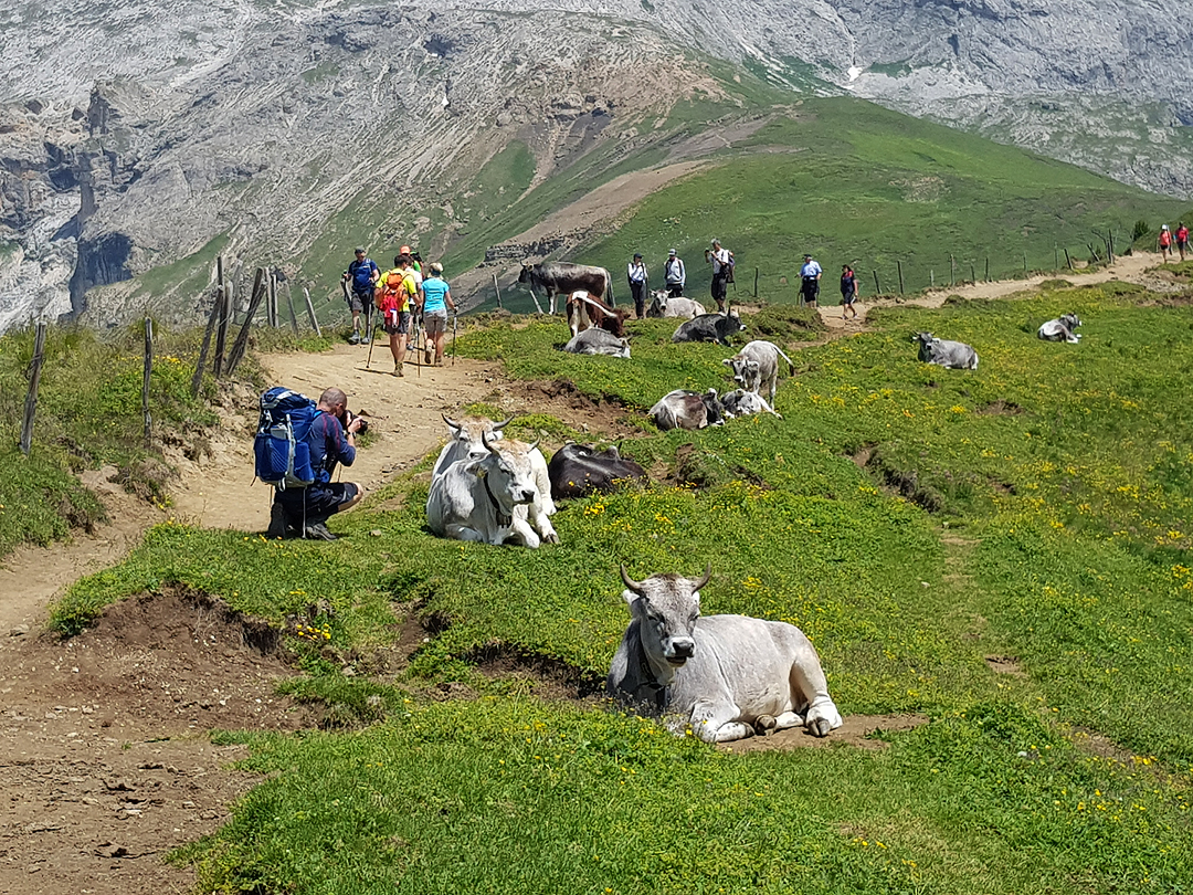 Val Gardena