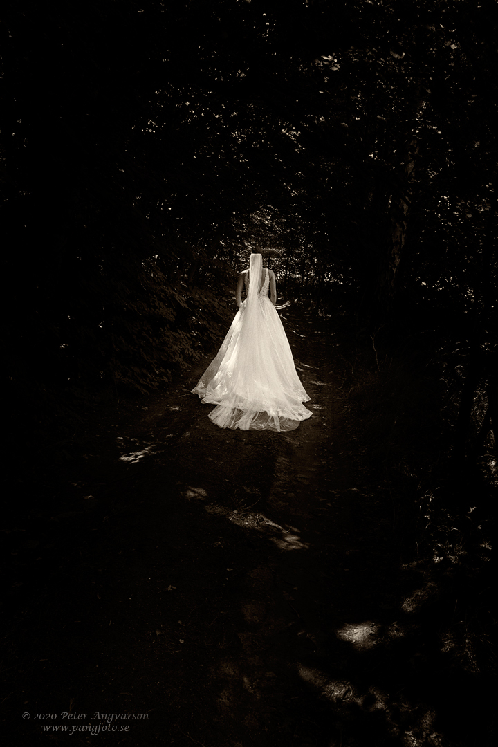 Brud i skog. Bride in a forest.