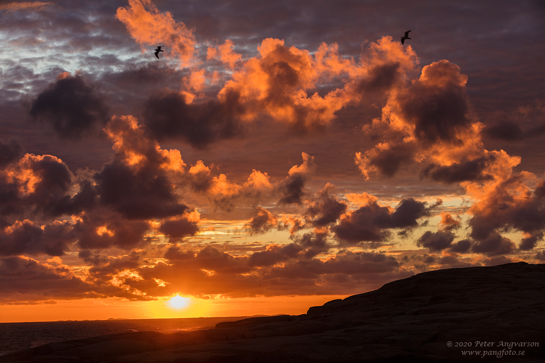 Solnedgång och moln. Sunset and clouds. Bohuslän.